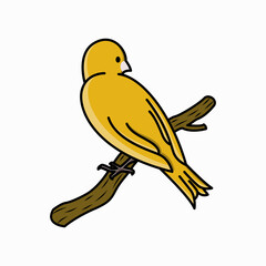 bird cartoon vector illustration. canary bird. animal hand-drawn style