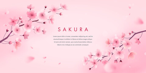Obraz na płótnie Canvas Spring cherry blossom horizontal banner. Vector illustration of realistic blossoming sakura flowers. Floral background for poster, brochures, booklets, promotional materials, website
