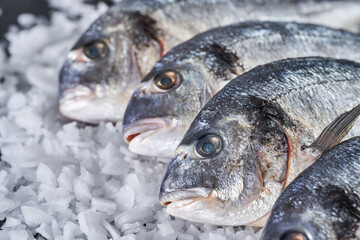 Chilled whole raw bream on ice