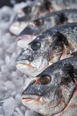 Chilled whole raw bream on ice