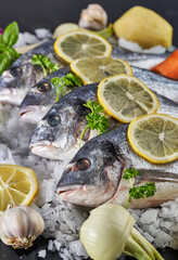 Chilled whole raw bream