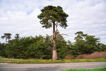 The Pacific Ocean coast in the city of Monterey in California. United States of America. Beautiful beach on a sunny day. Ocean landscape.