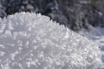 Fototapeta premium Large crystals on the snow surface on a sunny winter day. Winter background