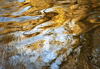 autumn colors water ripples