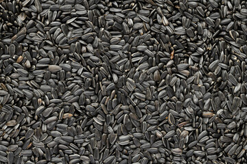 sunflower seeds background, closeup of roasted seeds