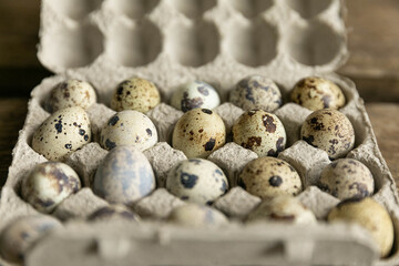 Obraz premium quail eggs in a box