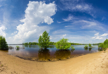 Trees standing in water during the spring flood on river