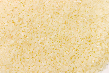 Background of raw short-grained white rice