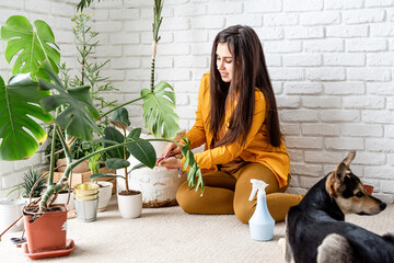 Woman gardener taking care of her home garden plants