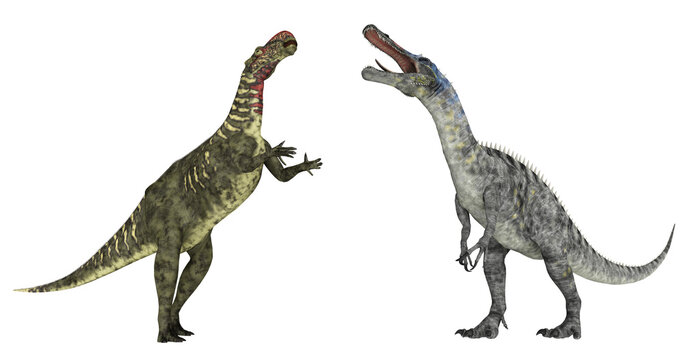 Altirhinus und Suchomimus, Freisteller