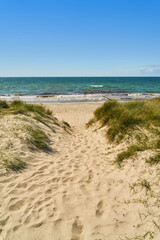 Chemin à travers les dunes jusqu& 39 à une plage de sable sur la mer Baltique