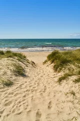 Papier Peint photo Descente vers la plage Chemin à travers les dunes jusqu& 39 à une plage de sable sur la mer Baltique
