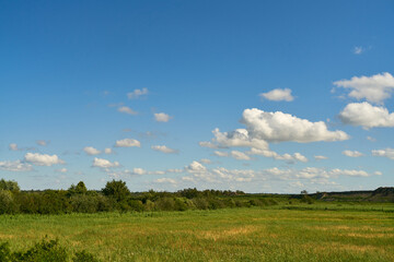 Meadow as a landscape with sky and clouds in summer