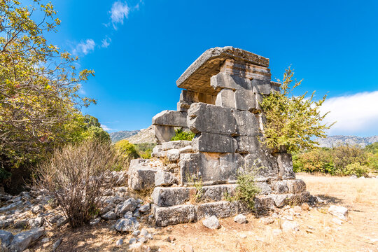 Sidyma Bilder Durchsuchen 257 Archivfotos, und Videos