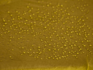 Water drops on waterproof membrane fabric. Detail view of texture of yellow synthetic waterproof cloth. Morning dew on tent.