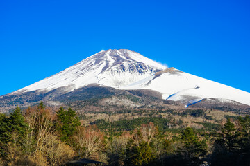 青空を背景に迫るような冬の富士山（水ヶ塚公園）