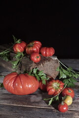 A group of freshly washed tomatoes and parsley is lying on a table of old boards. Dark background. Tomatoes and parsley are ingredients of vegan, Keto and Paleo diets. Detox, 