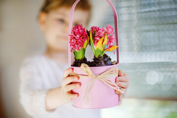 Closeup of little adorable girl holding pink hyacinth flowers. Happy child, indoors. Mother's day, valentine's day or birthday and spring concept.