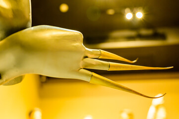 Brass Nail Cover for The Fon Lep Dance