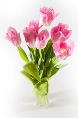 Pink colorful tulips on a white background. Flat lay composition. Top view