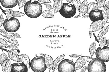 Apple branch design template. Hand drawn vector garden fruit illustration. Engraved style fruit retro botanical banner.