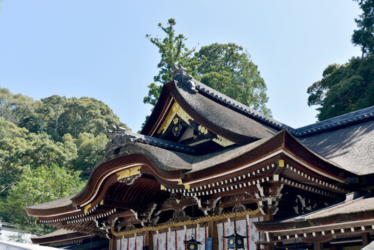 273 Best 大神神社 Images Stock Photos Vectors Adobe Stock 273 Best 大神神社 Images Stock Photos Vectors Adobe Stock