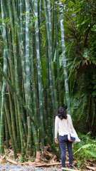 Naklejka na ściany i meble Girl staring at the bamboos in the rainforest, 