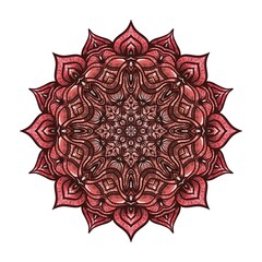 Circular pattern pink floral mandala on white background