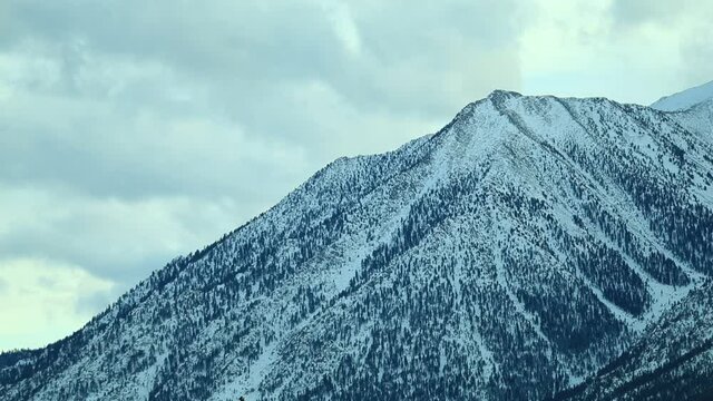 Snow Capped Jobs Peak in Minden Nevada - Shallow Depth of Field