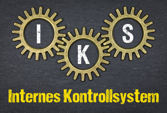 Internes Kontrollsystem (IKS)