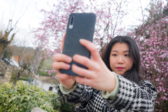 spring sakura selfie - young happy and cute Asian Japanese tourist woman taking self portrait with mobile phone smiling cheerful in front of blooming trees  in beautiful pink color