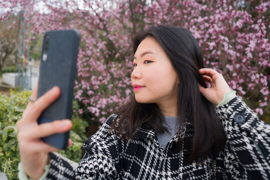 spring sakura selfie - young happy and cute Asian Chinese tourist woman taking self portrait with mobile phone smiling cheerful in front of blooming trees  in beautiful pink color