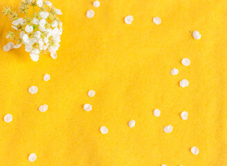 bright spring background - the combination of yellow and white creates an atmosphere of joy, copy space