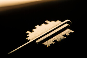 Dettaglio una chiave di un portoncino blindato isolate su sfondo neutro scuro