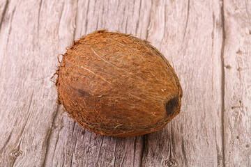 Tropical brown coconut over background