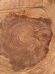 Fototapeta premium Deco happy travel