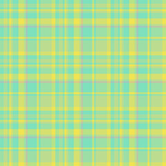 Plaid seamless pattern. Vector background of textile ornament. Flat fabric design.