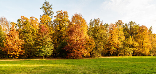 Fototapeta premium Autumn scenery with meadow, colorful trees and blue sky