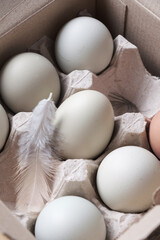 organic eggs in the box