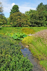 Montreal, Quebec; Canada- june 25 2018 : the botanical garden