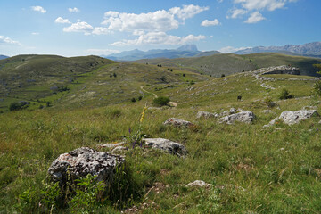 Fototapeta na wymiar Apennine Mountains grassy landscape with highest Corno Grande Mountain, Gran Sasso and Monti della Laga National Park, Abruzzo, Italy