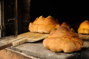 The bread of Matera, Pane di Matera, has the shape of a croissant and is produced with the exclusive use of durum wheat semolina. Matera bread just baked in a wood oven - obrazy, fototapety, plakaty