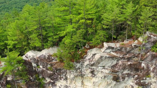 Aerial tilt up shot of tourists on rocky cliff amidst green trees, drone flying backward over lush forest against sky - Berkshire County, Massachusetts