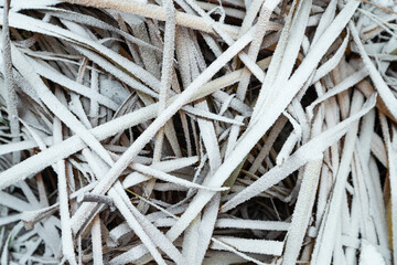 Leaves and grass covered with hoarfrost. Abstract floral background, top view.