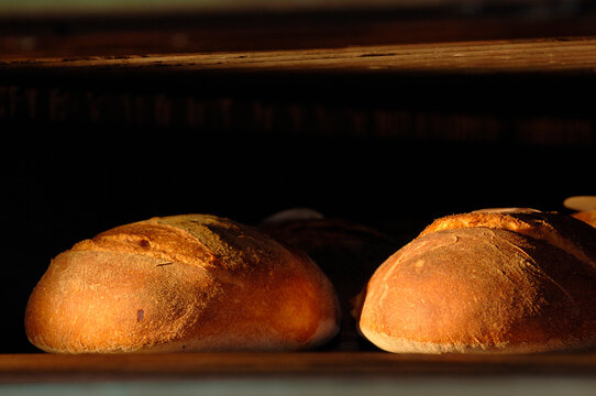 Altamura bread is a traditional bakery product from Altamura,  produced with re-milled durum wheat varieties grown in the territories of the municipalities of the Murgia. cooking in the oven.