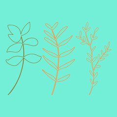Leaves and plants hand drawn flat illustration. Botanical design elements. Vector sketch clip art set.