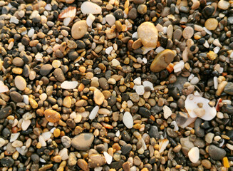 Pebbles on the beach