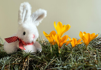 Cute Easter bunny toy in nature with blooming crocuses 
