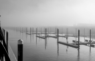 Fototapeta premium marina in fog