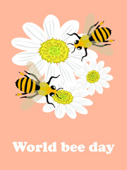 Cute card with bees and chamomile flowers for the holiday World Bee Day. For printing on business cards, clothes, kitchen textiles. Vector graphics.